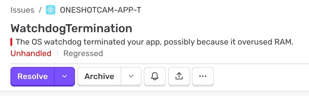 Sentry Error Log Screenshot